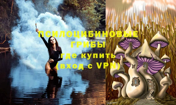 ALPHA PVP Магас