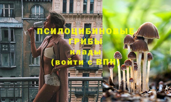 метадон Абаза