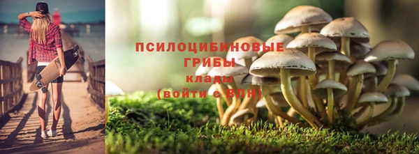 не бодяженный Абинск