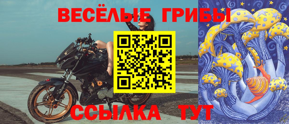 Псилоцибиновые грибы мицелий Норильск