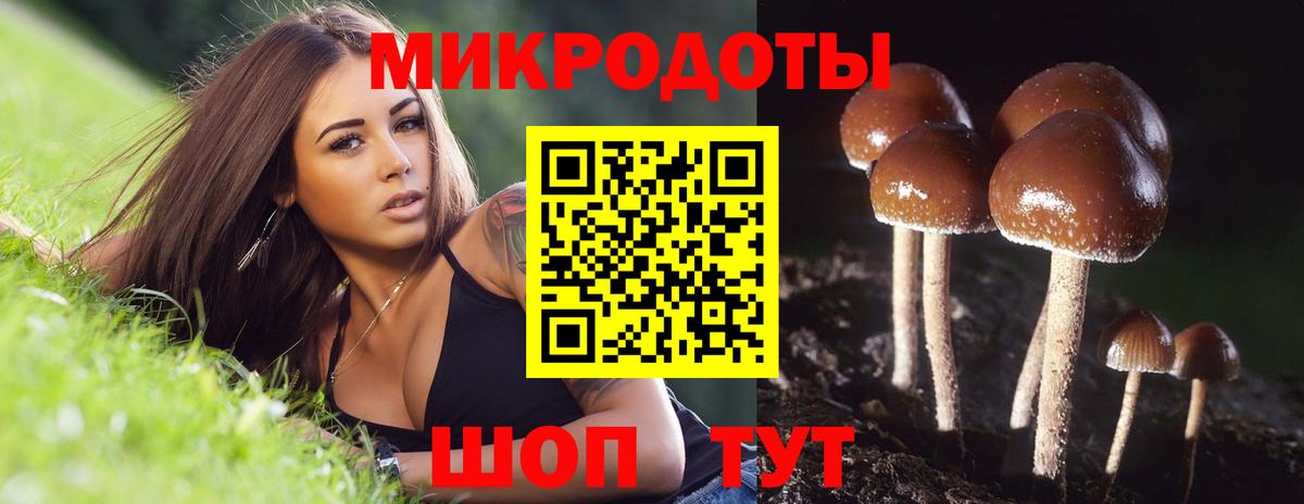 хочу   Вход с VPN  Норильск  Галлюциногенные грибы Psilocybine cubensis 